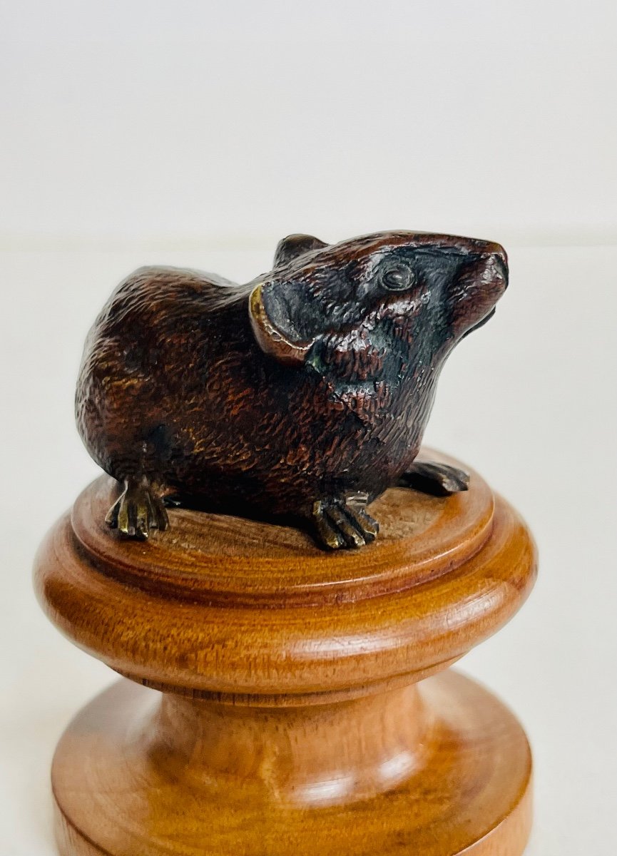 Souris Bronze De Vienne -photo-2